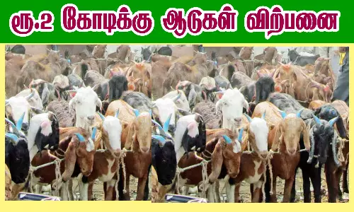 ராமநாதபுரத்தில் ரூ.2 கோடிக்கு ஆடுகள் விற்பனை