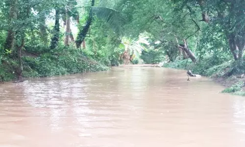 போளூர் மஞ்சள் ஆற்றில் வெள்ளம்