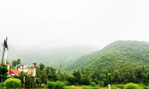 கடும் பனியால் வாகன ஓட்டிகள் அவதி