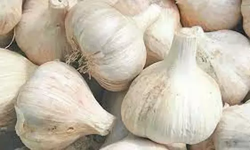 பூண்டு விலை உயர்வு