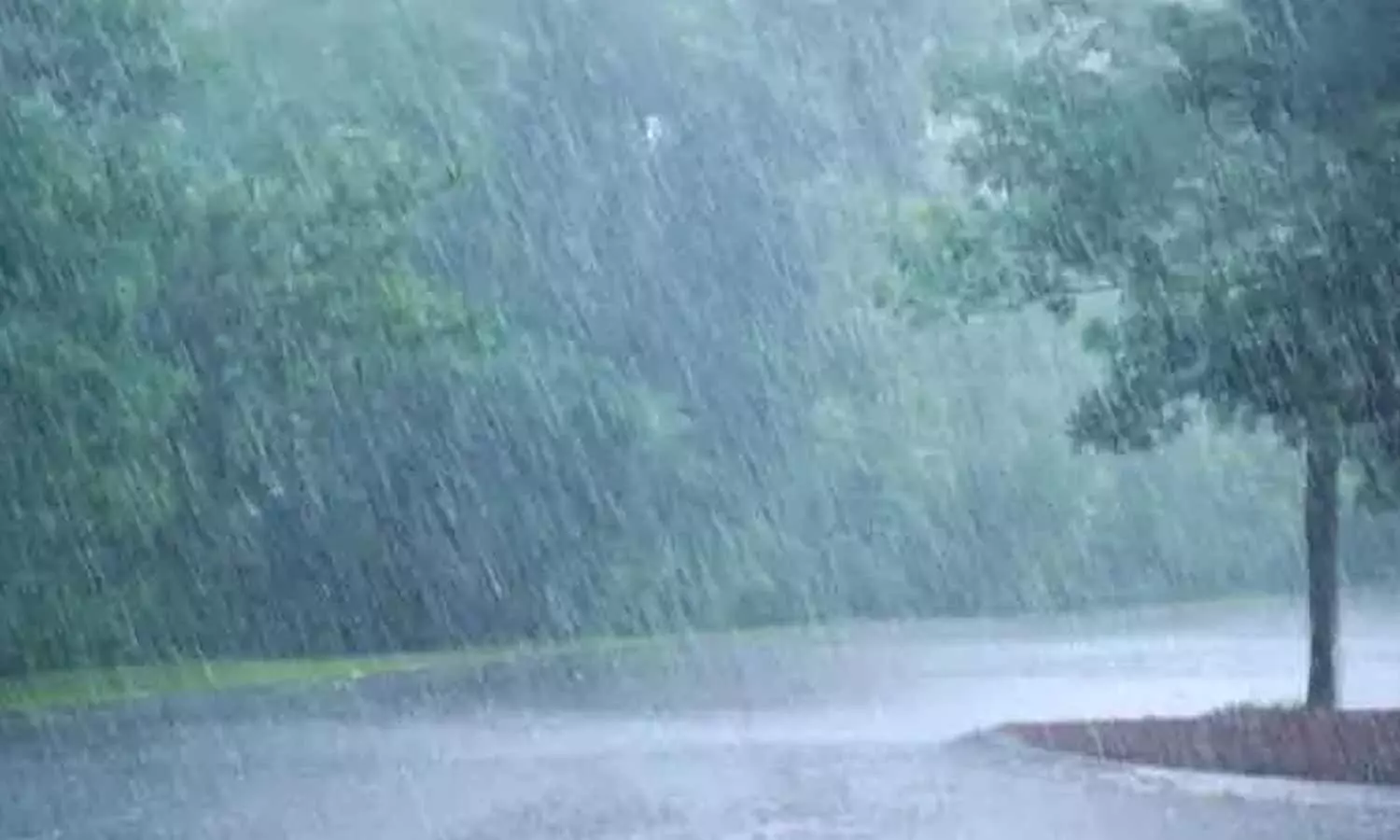 காஞ்சிபுரத்தில் பரவலாக மழை- போக்குவரத்து நெரிசல்