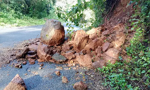 பெரும்பாறை அருகே தொடர் மழையால் சாலையில் உருண்டு கிடக்கும் பாறைகள்