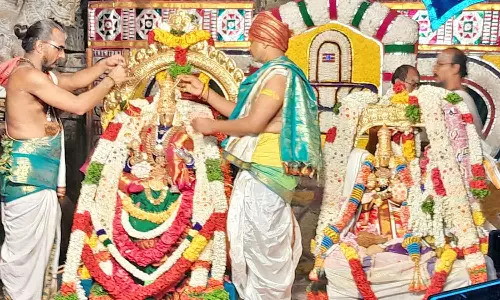 நெல்லையப்பர் கோவிலில் ஐப்பசி திருக்கல்யாண திருவிழா கோலாகலம்: திரளான பக்தர்கள் பங்கேற்பு