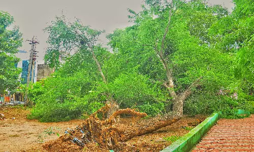 களியலில் 76 மி.மீ.மழை- ஆறுகளில் வெள்ளப்பெருக்கு