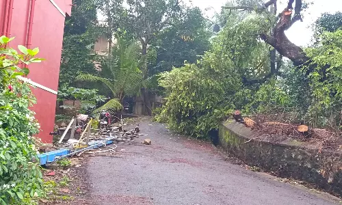 குழித்துறையில் மரம் முறிந்து விழுந்து டிரான்ஸ்பார்மர் சேதம்