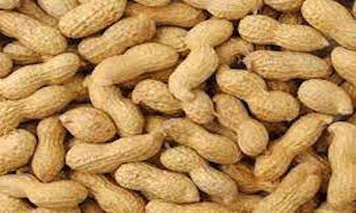 ரூ.4.72 லட்சத்துக்கு விளைபொருட்கள் ஏலம்