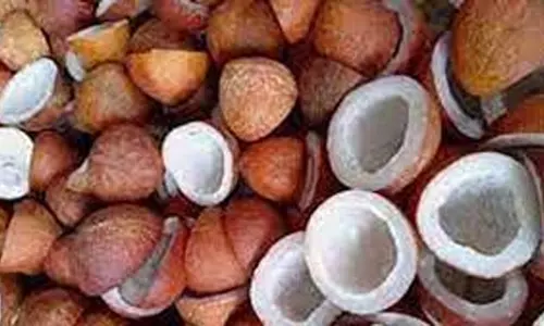 கொங்கணாபுரம் ஏல சந்தையில்  100 குவிண்டால் தேங்காய் கொப்பரை விற்பனை