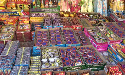 வனவிலங்குகளை பாதுகாக்க அதிக ஒலி எழுப்பும் பட்டாசுகளை வெடிக்க கூடாது- நீலகிரி கலெக்டர் அருணா அறிவுறுத்தல்