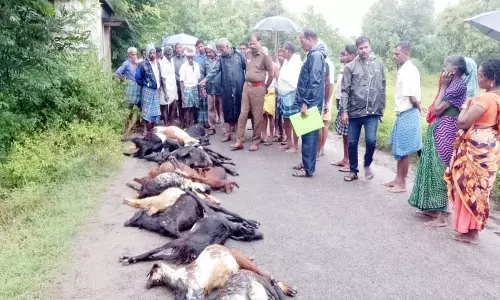 இடி தாக்கி விவசாயி பலி