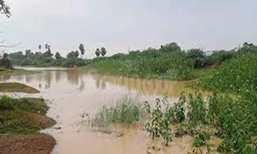 பள்ளிபாளையத்தில் தொடர் மழையால் நீர்நிலைகளுக்கு தண்ணீர் வரத்து அதிகரிப்பு