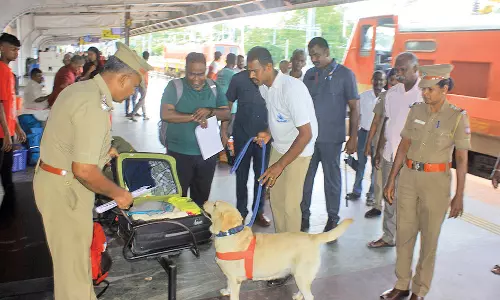 நெல்லை ரெயில் நிலையத்தில் சோதனை- பட்டாசுகளுடன் வந்த 2 பயணிகள் கைது