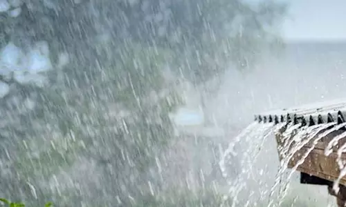 பல்லடம் பகுதியில் தொடர் மழையினால் மக்கள் வீடுகளில் முடக்கம்