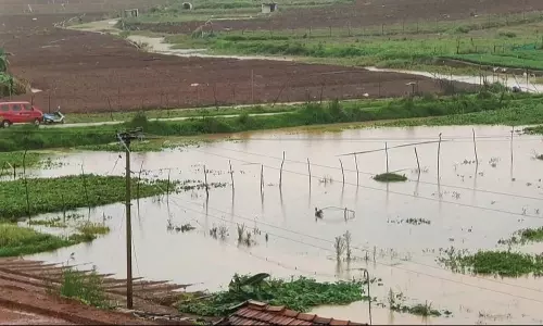 குன்னூரில் தொடர் மழையால் நீரில் மூழ்கிய மலை காய்கறி பயிர்கள்