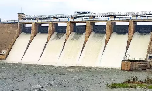 பாசனத்திற்கு தண்ணீர் திறப்பால் வைகை அணை நீர்மட்டம் சரிவு