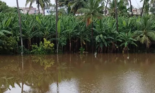 அன்னூர் பகுதியில் கனமழையால் 15 ஆயிரம் வாழை மரங்கள் நீரில் மூழ்கின