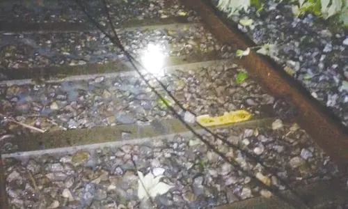 குழித்துறை-பாறசாலை இடையே மரம் முறிந்து மின்சாரம் துண்டிக்கப்பட்டதால் ரெயில்கள் நடுவழியில் நிறுத்தம்