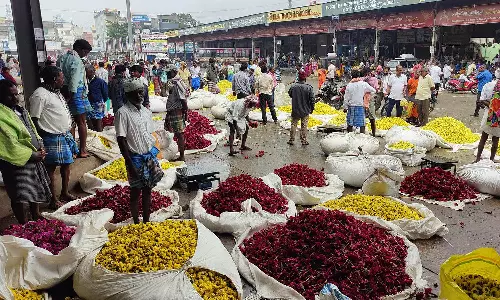 தருமபுரி மாவட்டத்தில் தீபாவளி பண்டிகை வரும் நிலையில் பூக்களின் விலை கடும் வீழ்ச்சி