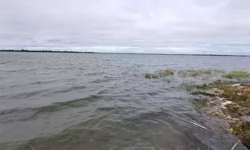 காஞ்சிபுரம்-செங்கல்பட்டு மாவட்டத்தில் 55 ஏரிகள் முழுவதும் நிரம்பியது