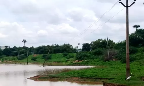 ஆலங்குளம் அருகே குளத்தின் நடுவே சரிந்து விழும் நிலையில் மின்கம்பம் - உடனடியாக அப்புறப்படுத்த மக்கள் கோரிக்கை