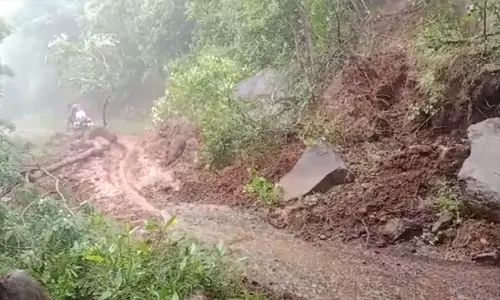 ஆத்தூர் அருகே மழையால் பாறை சரிந்தது