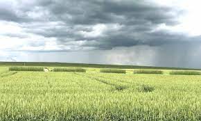 திடீர் மழையால் விவசாயிகள் மகிழ்ச்சி