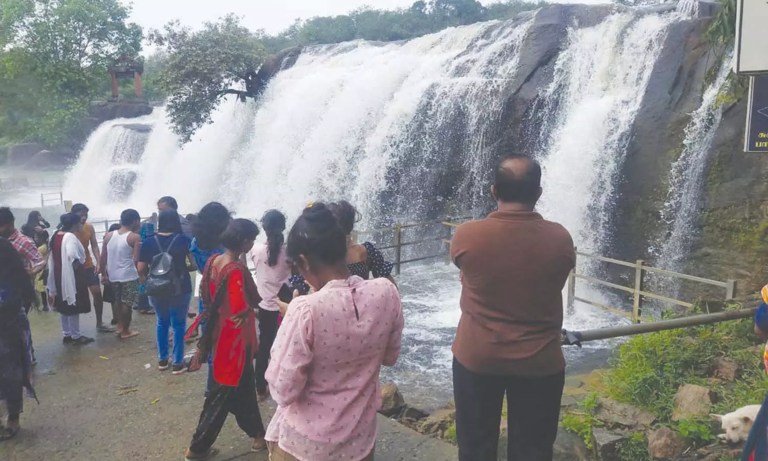 பேச்சிப்பாறை அணைக்கு நீர்வரத்து அதிகரிப்பு பேச்சிப்பாறை அணைக்கு நீர்வரத்து அதிகரிப்பு