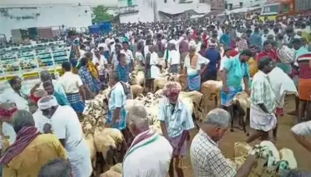 வீரகனூரில் கால்நடை சந்தையில்தீபாவளி பண்டிகையை முன்னிட்டு ரூ.3 கோடிக்கு ஆடுகள் விற்பனை