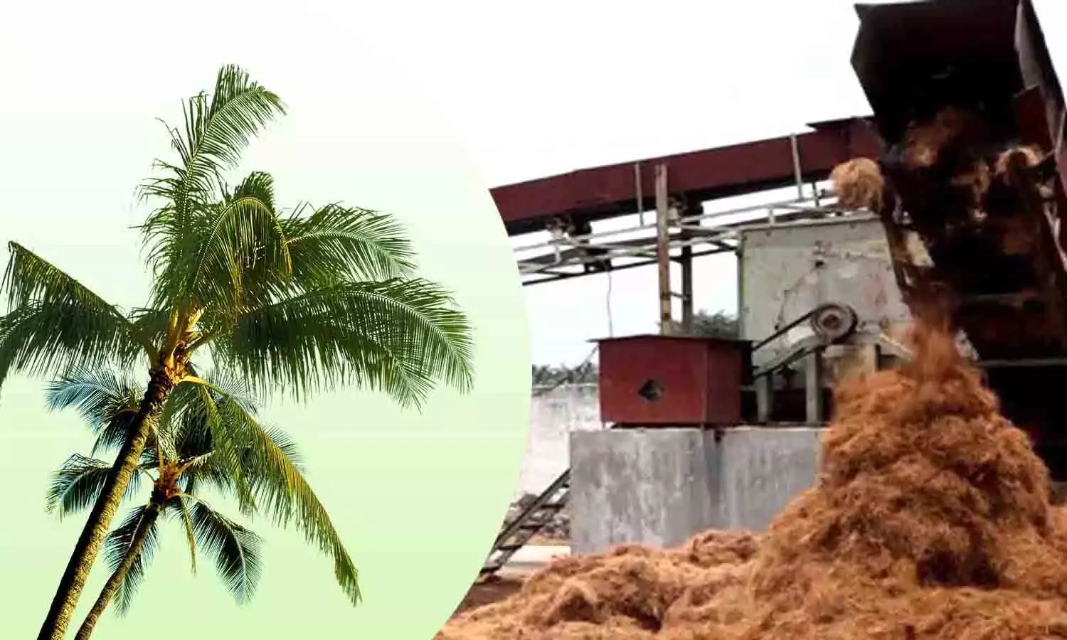 தென்னை நார் தொழிற்சாலையை அகற்ற கவன ஈர்ப்பு ஆர்ப்பாட்டம் - 13-ந் தேதி நடத்த முடிவு தென்னை நார் தொழிற்சாலையை அகற்ற கவன ஈர்ப்பு ஆர்ப்பாட்டம் - 13-ந் தேதி நடத்த முடிவு