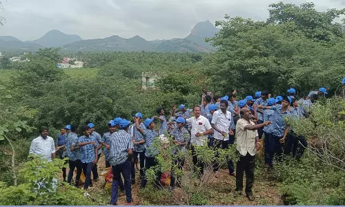 கடமலைக்குண்டு பகுதியில் விதைபந்து தயாரித்த மாணவர்கள்