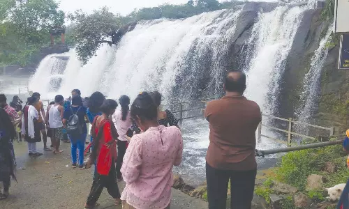 பேச்சிப்பாறை அணைக்கு நீர்வரத்து அதிகரிப்பு
