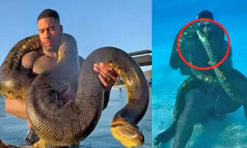 நீருக்கடியில் அனகோண்டாவுடன் கட்டிப்புரளும் வாலிபர்