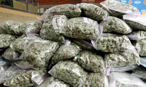 வீட்டில் பதுக்கிய கஞ்சா பறிமுதல்