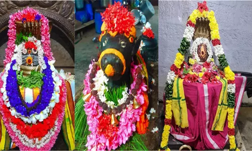 சிவன் கோவில்களில் பிரதோஷத்தை முன்னிட்டு நந்தி பெருமானுக்கு சிறப்பு  வழிபாடு