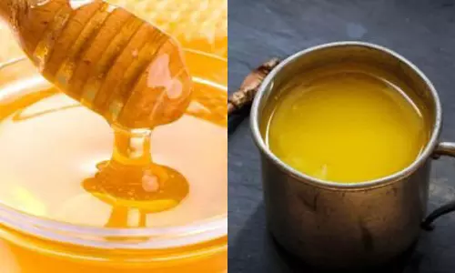 அர்த்தம் மாறிய பழமொழிகள்: யானைக்கொரு காலம் வந்தால் பூனைக்கொரு காலம் வரும்