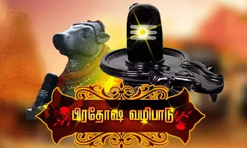 சிவன் கோவில்களில் பிரதோஷ வழிபாடு