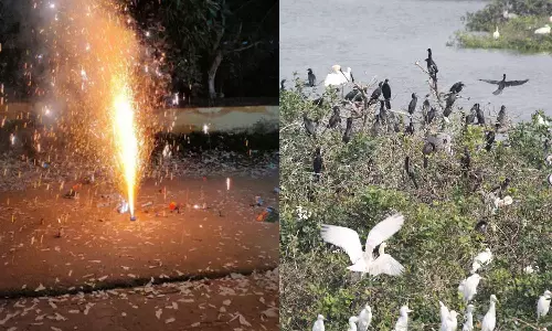 19 வருடங்களாக பட்டாசு வெடிக்காமல் தீபாவளியை கொண்டாடி வரும் மக்கள்