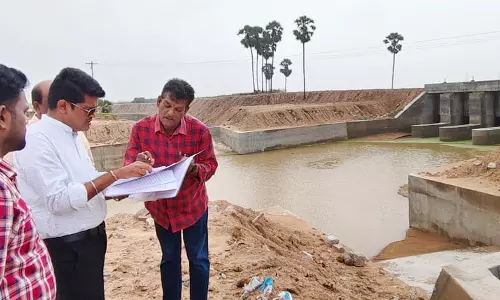 கண்மாய்- கால்வாய்கள் புனரமைப்பு பணிகளை மாவட்ட கலெக்டர் ஆய்வு