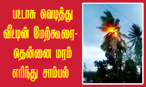 பட்டாசு வெடித்து வீட்டின் மேற்கூரை-தென்னை மரம் எரிந்து சாம்பல்