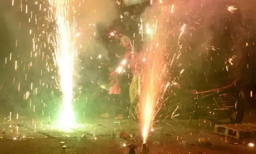 நெல்லை, தென்காசி மாவட்டத்தில் விதிமுறைகளை மீறி பட்டாசு வெடித்ததாக 88 வழக்குகள் பதிவு