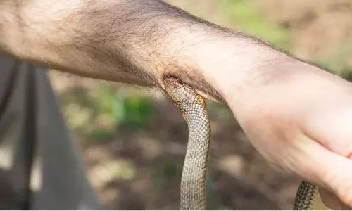 பாம்பு கடித்து தொழிலாளி சாவு