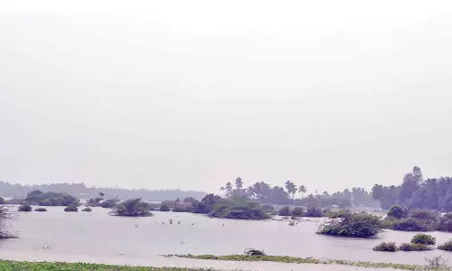 நோணாங்குப்பம் சுண்ணாம்பாறு முகத்துவார பகுதி உடையும் அபாயம்