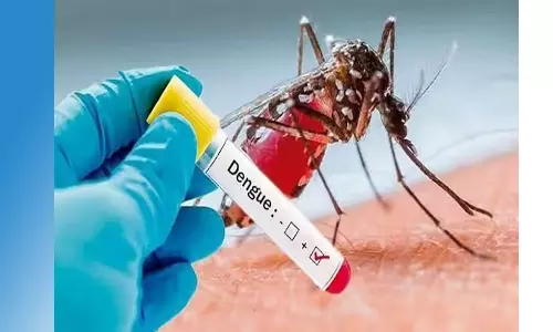 ராமநாதபுரத்தில் அதிகரிக்கும் டெங்கு பாதிப்பால் பொதுமக்கள் அச்சம்