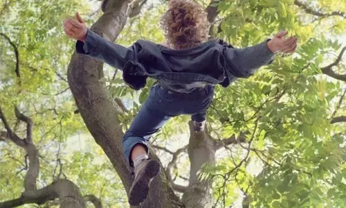 மரத்தில் இருந்து கீழே விழுந்த விவசாயி சாவு