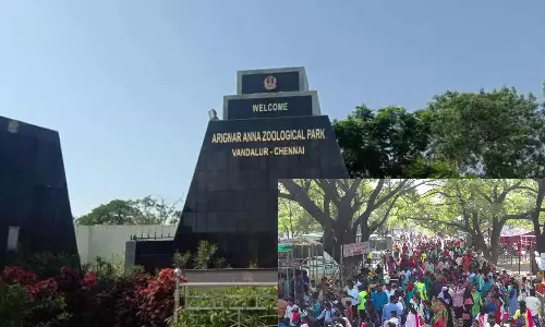 வண்டலூர் பூங்காவில் இரண்டு நாளில் 20 ஆயிரம் பேர் குவிந்தனர்