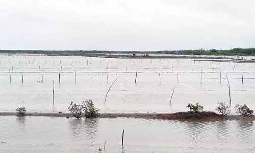 டெல்டா மாவட்டங்களில் விடிய விடிய கொட்டிய கனமழை: ஒரே நாளில் 1993 மி.மீட்டர் பதிவானது