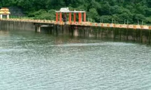 தீபாவளி விடுமுறையையொட்டி ஆழியார் அணை, கவியருவிக்கு 3 நாட்களில் 25 ஆயிரம் பேர் வருகை