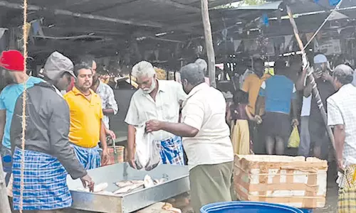 தஞ்சை மார்க்கெட்டில் மீன்கள் வாங்க குவிந்த மக்கள்