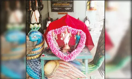 சிவன்மலை முருகன் கோவிலில் அமாவாசை சிறப்பு வழிபாடு