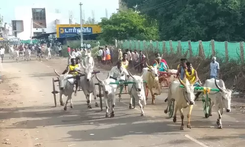 கூடலூர் அருகே கோவில் திருவிழாவையொட்டி இரட்டை மாட்டு வண்டி பந்தயம்