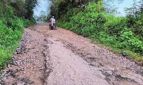 வருசநாடு-வாலிப்பாறை இடையே சேதம் அடைந்த சாலையால் விபத்து அபாயம்
